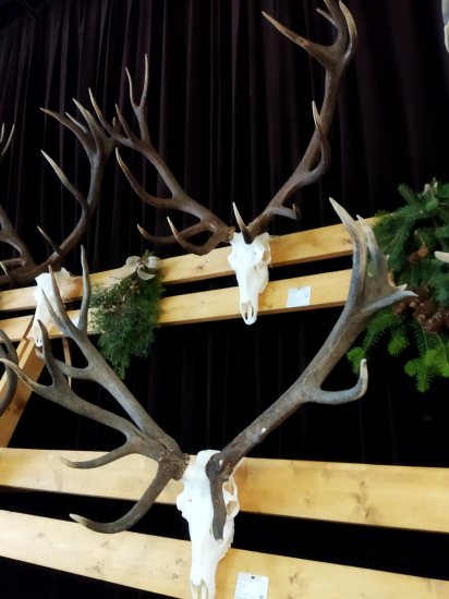 Liptovský králi  4