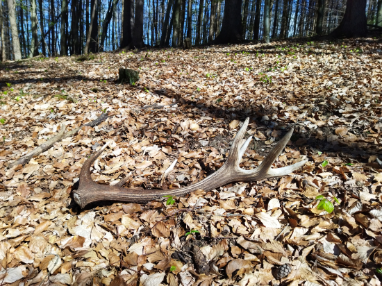 Na slniečku ležím vám