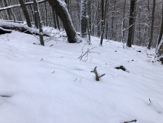 doslova šťastíčko