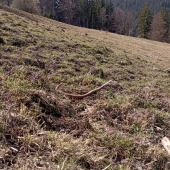 298g zhodených 14.3.