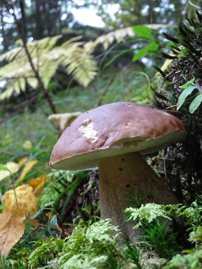 Jeden z posledných...