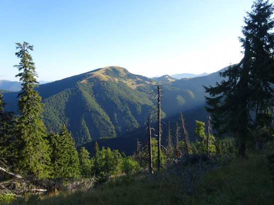 Necpalská dolina - Borišov