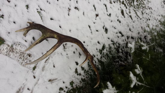 Na hrebeni Koreňová