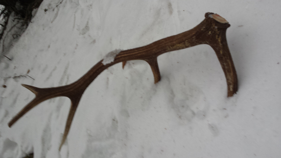 ukončenie februára