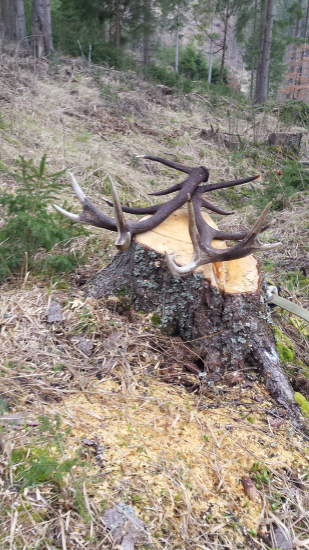 Krásna veľkonočná nedeľa