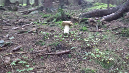 Stúpanie terénu K2...