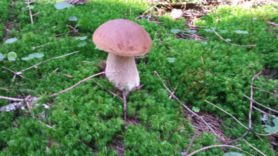 Je mi výborné v zelenej perinke ☺