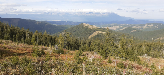 Kamarát mi vraví pána veď my sme v rovnakej nadmorskej výške ako Vysoké Tatry
