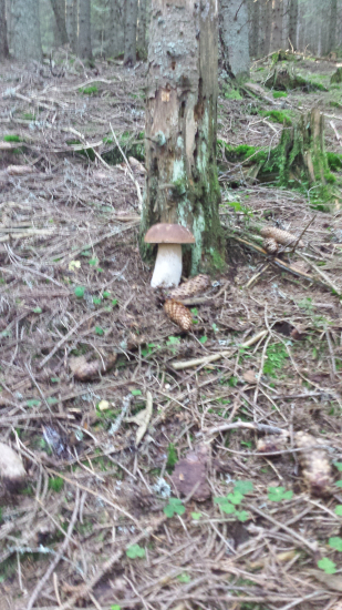 Je to fajn keď sa mám o koho oprieť