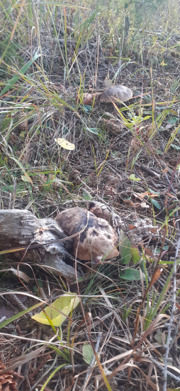 Už naozaj posledné.