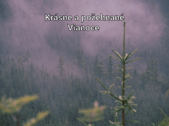 Šťastné a veselé vianoce