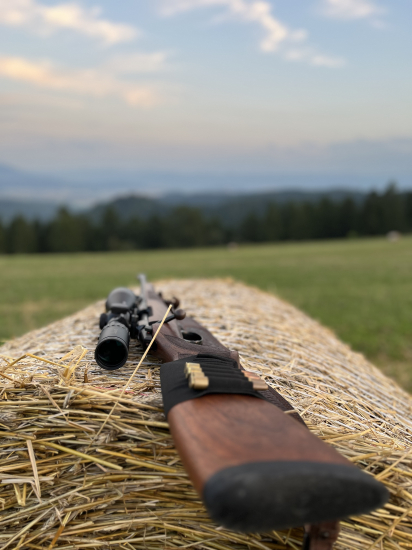 CZ čaká na diviačika