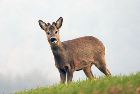 asi toľko k tomu tvojmu foteniu :)
