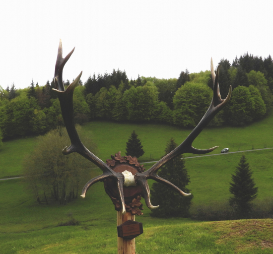 trofej neznámeho strelca