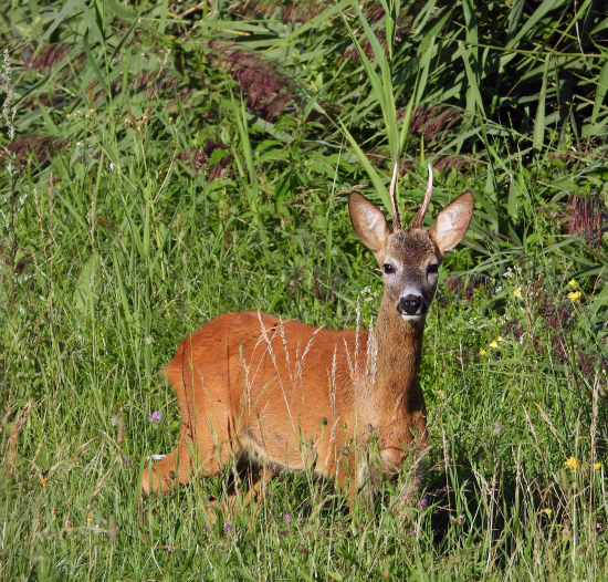 nedeľné stretnutie :)