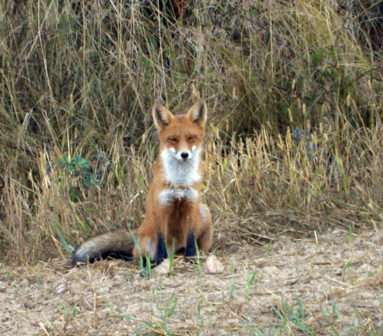 nespi, keď ťa fotím :)