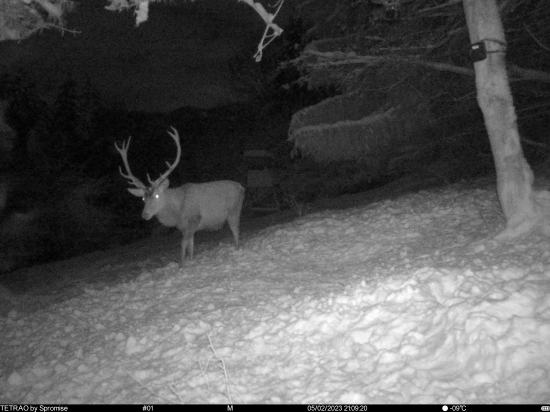 12torak, Váš ohad veku?