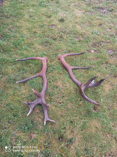 Zo známeho 16toraka