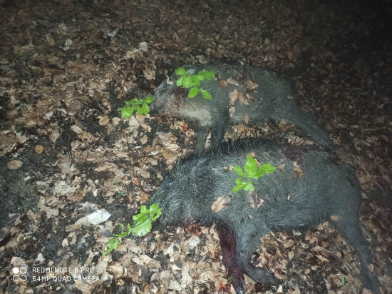 Druhý a Tretí 2023