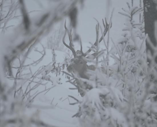 Ťažké to majú...