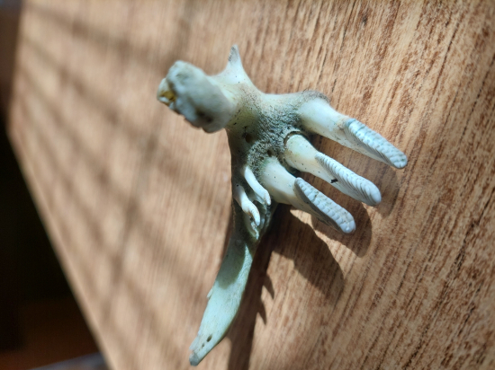 Tak to fakt netuším :)