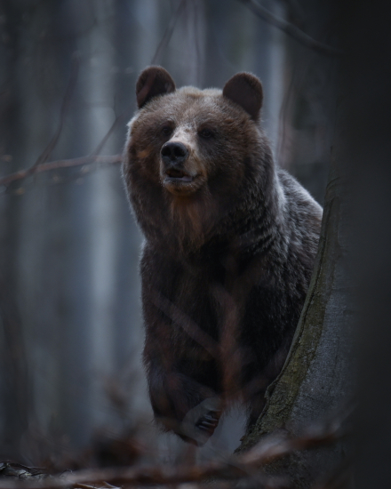 Momenty, keď vám srdce prestane biť