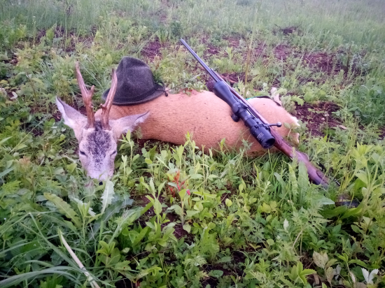 Srnec myslím si že II. Veková