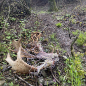 Bol rád že ich zhodil