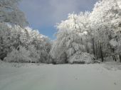 Zimná atmosféra v Malých Karpatoch