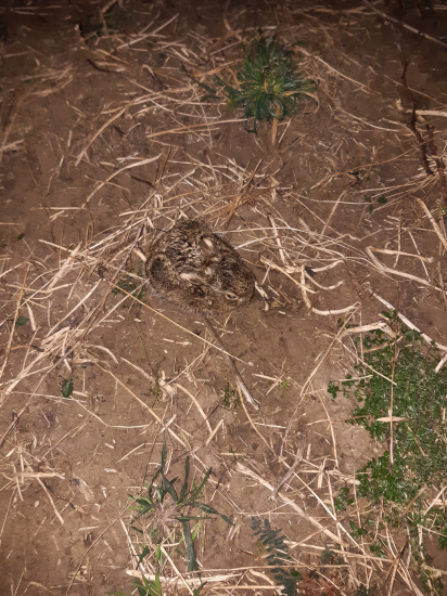 Tak letošní první :-)