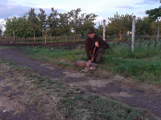 Vinohradník 15.5.2023