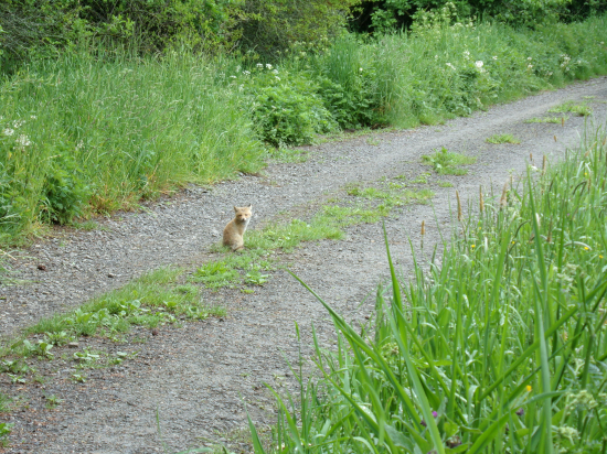 No nie je roztomilé?