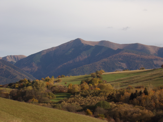 Dnes ráno.