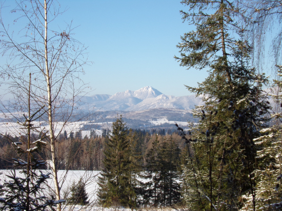 Choč