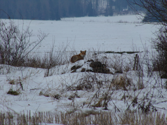 Poludňajšia siesta.