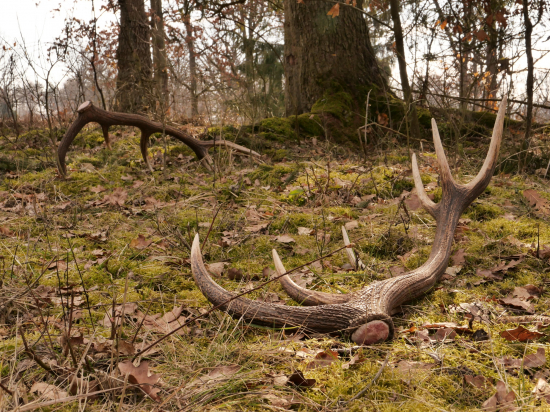 To nevymyslíš, to musíš zažiť.