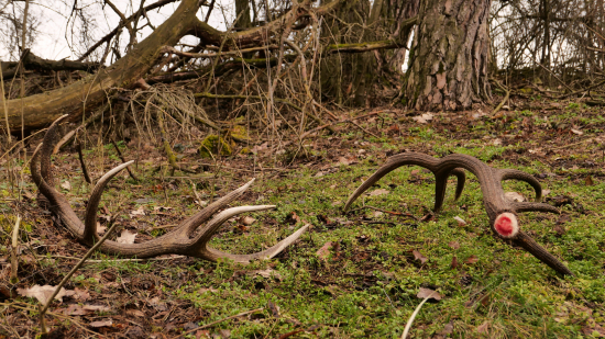 Krásny deň - krásny zážitok