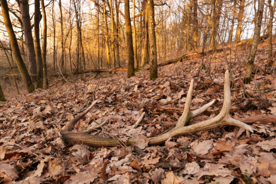 Aj zabudnutý väčší zhod sa dá vždy nájsť