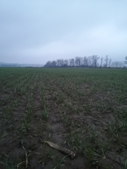 *Posledné kroky smerom k autu*