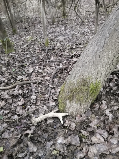 Pohľad ktorý vždy poteší***