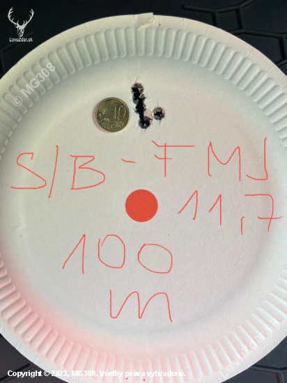 308win. S&B FMJ 11.7g 100m