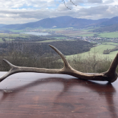 Nedeľná pohodička