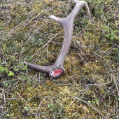 Každý veľmi poteší