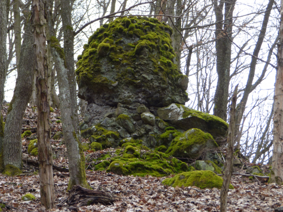 hlava