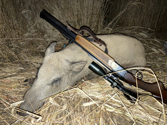 Spomienka na leto 2022