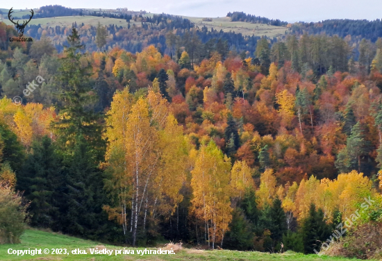 Zavadské lúky