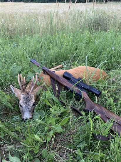 Koniec srnčej ruje...