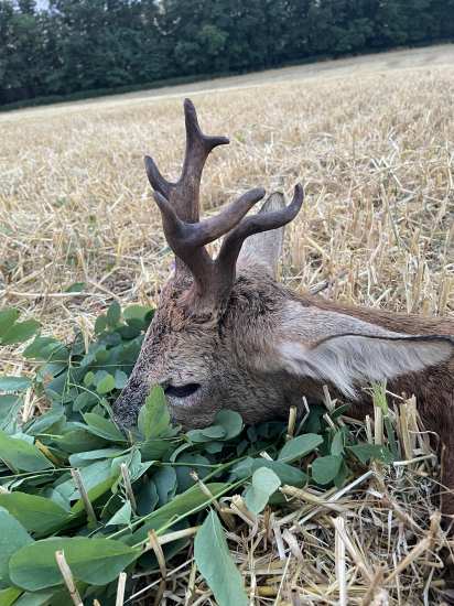 Náhoda a šťastie v jednu chvíľu