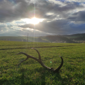 Samá krásna príroda