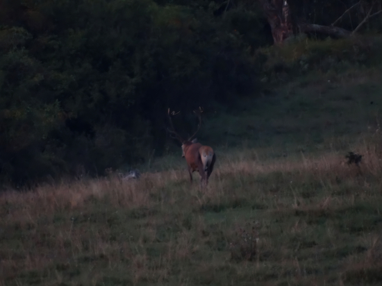 Len na malú chvíľu